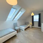 Wangermeer Perle Ii * שיליג