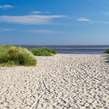 Wangermeer Perle Ii *